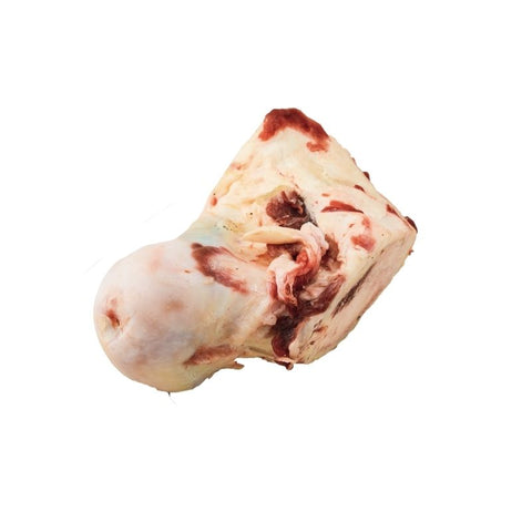 BEEF, CHOICE, BONE MARROW, CLEANED - CANOE - (5"/12cm)
